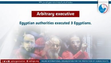 Egyptian authorities executed 3 Egyptians.
