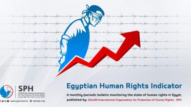 human rights situation in Egypt