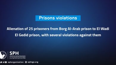 Alienation of 25 prisoners from Borg Al-Arab prison to El Wadi El Gedid prison, with several violations against them