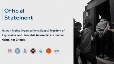Human Rights Organizations: Egypt | Freedom of Expression and Peaceful Assembly are human rights, not Crimes
